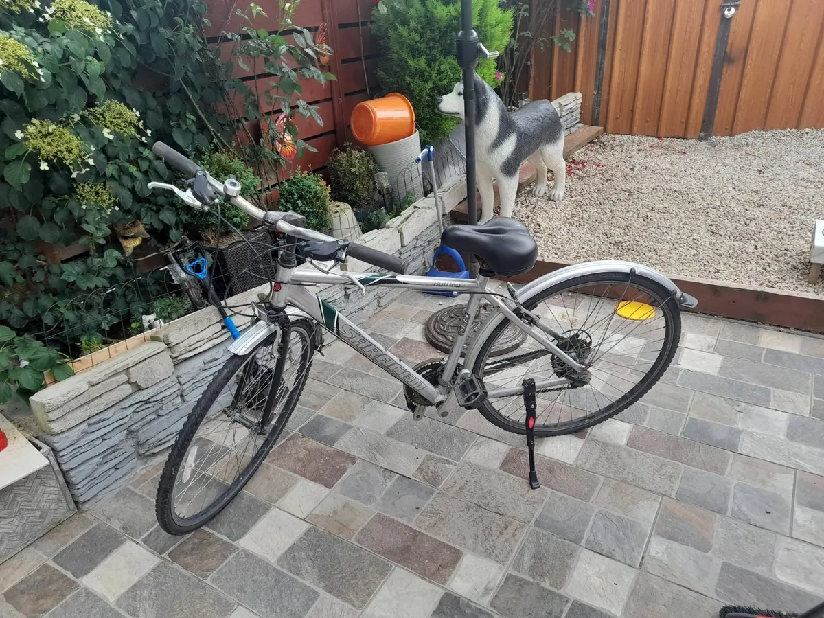 Bicycle - Image 2