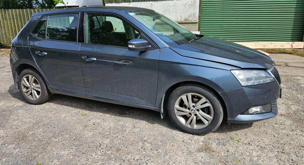 192 Skoda Fabia 2019 1ltr petrol 151km - Image 1