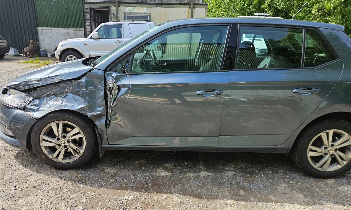 192 Skoda Fabia 2019 1ltr petrol 151km - Image 3