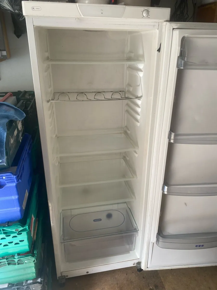 Tall fridge - Image 2