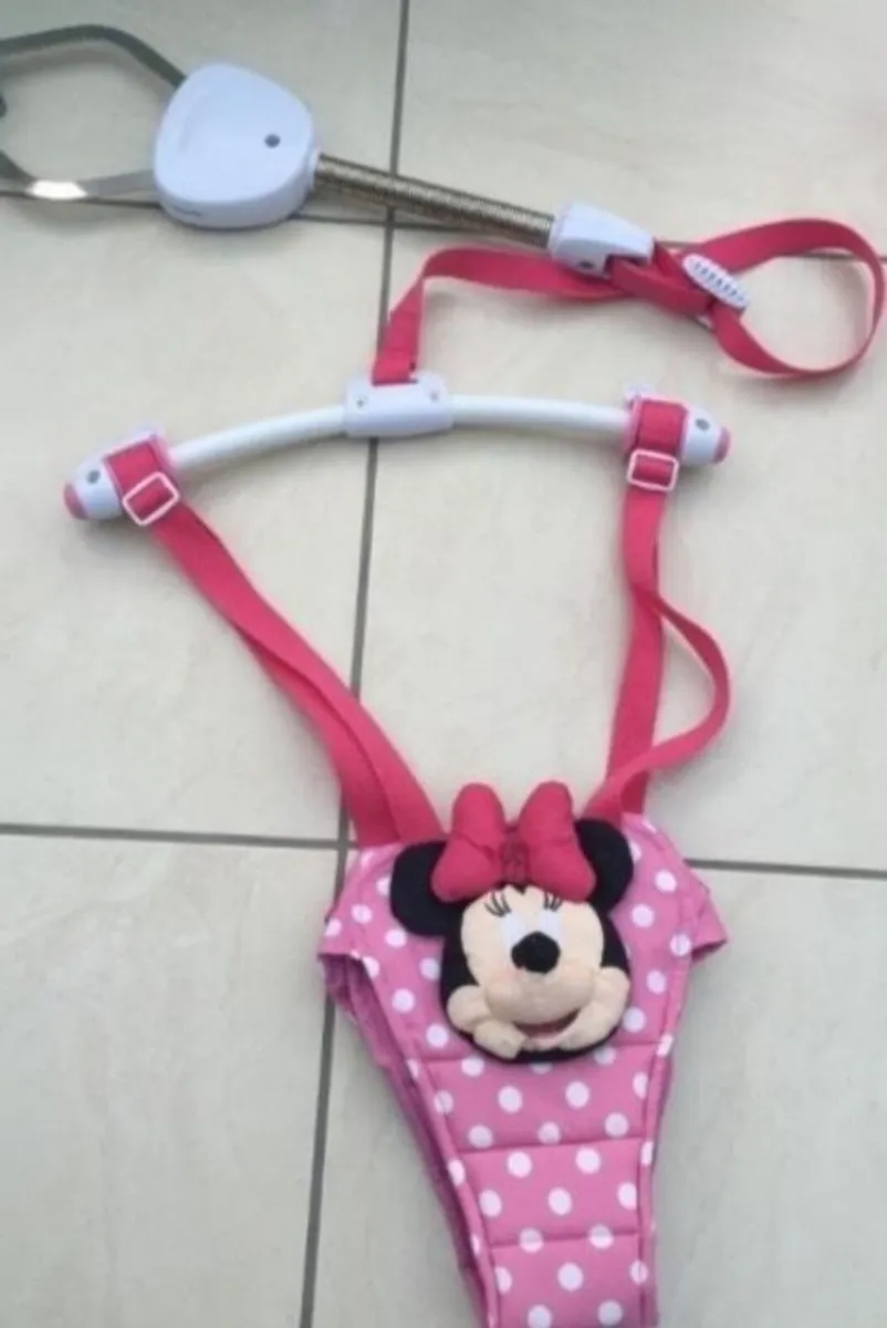 Minnie mouse door swing - Image 3