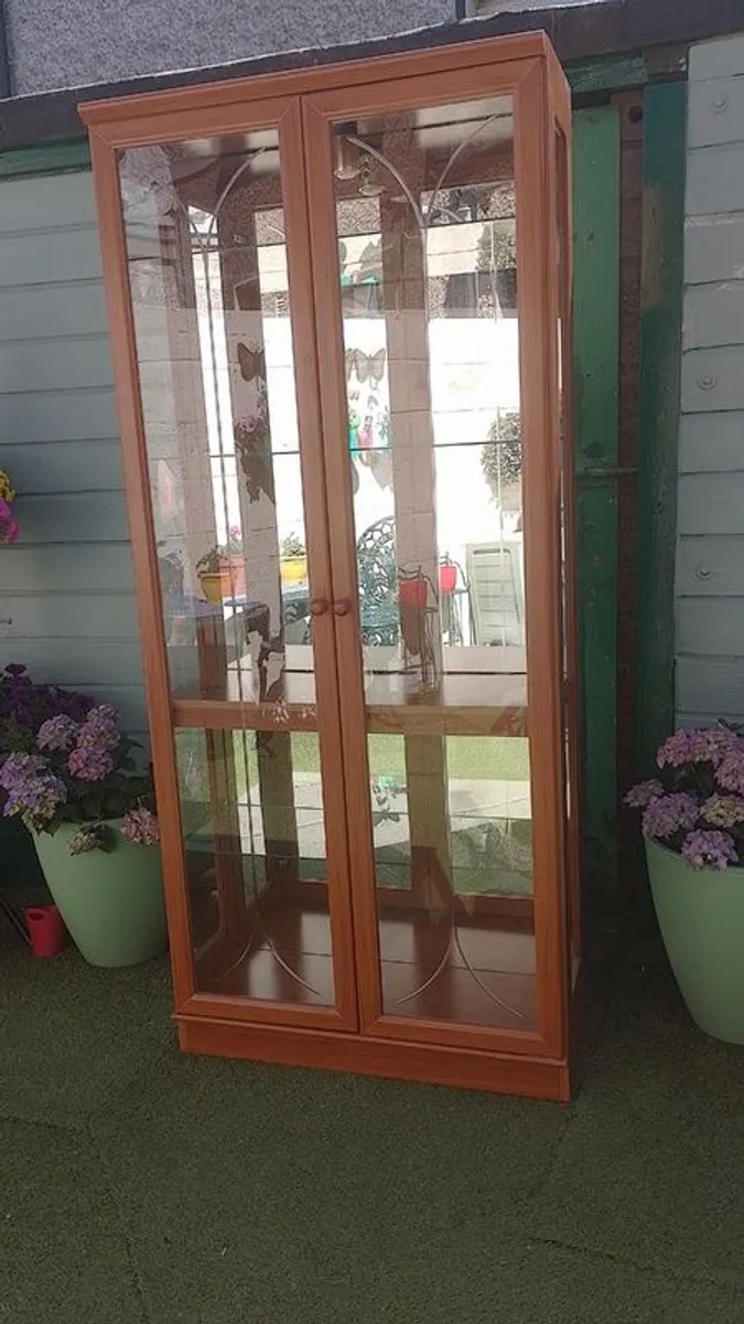 Display Cabinet for Sale - Image 4