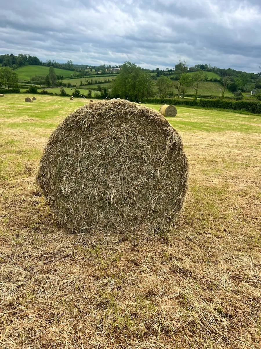 Hay for sale - Image 1