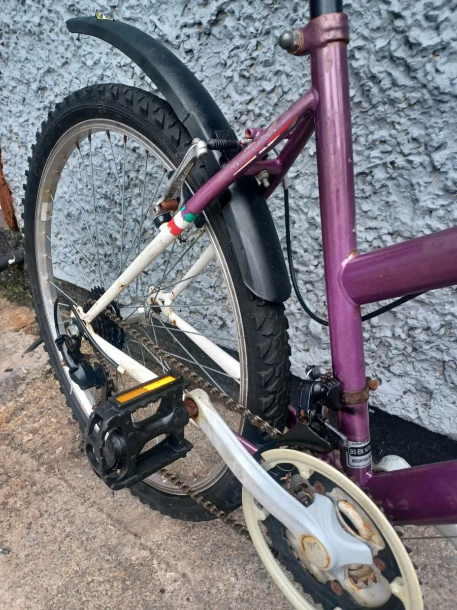 Woman's mountain bike - Image 2