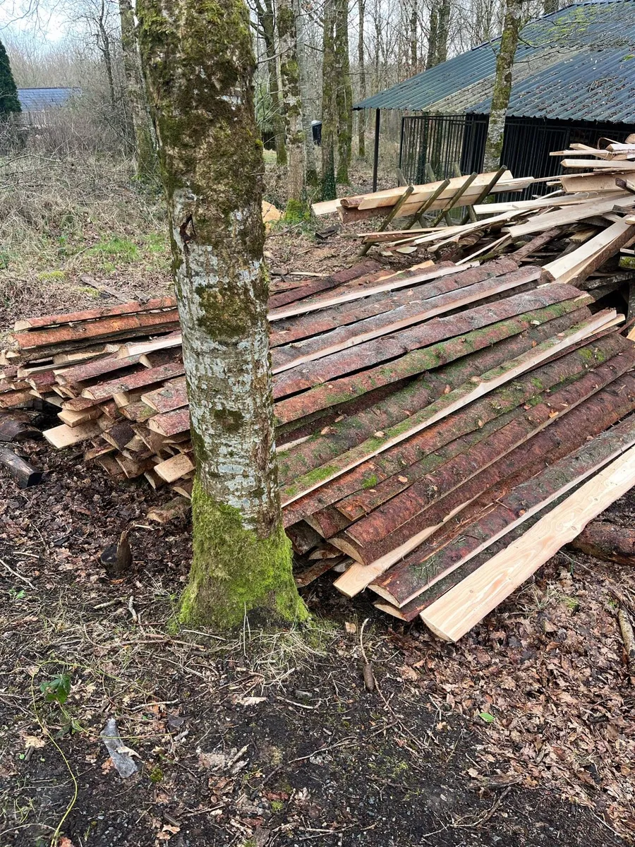 Timber offcuts - Image 2