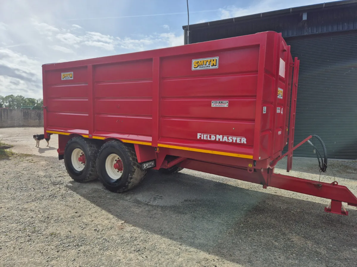 Smyth 20 ft 560s. Rollover cover - Image 2