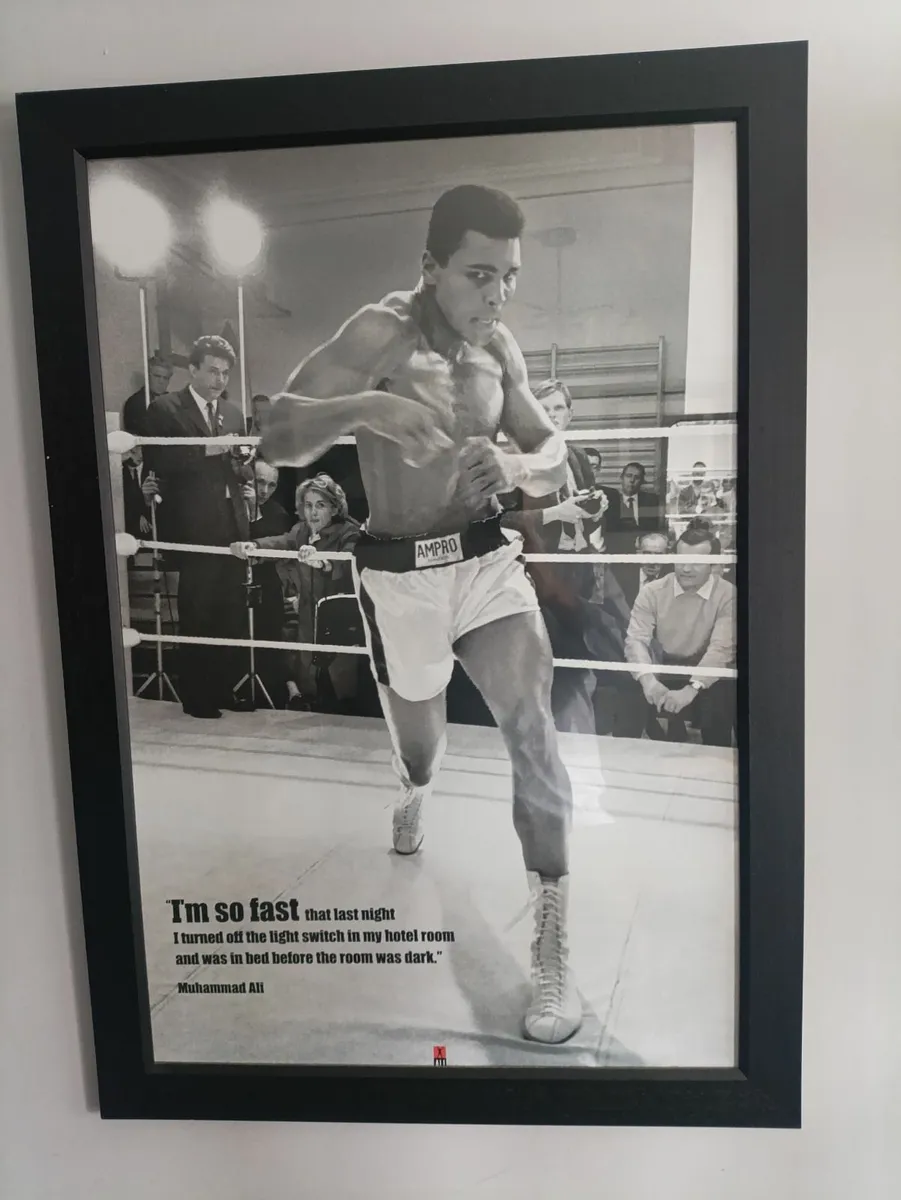 Large Framed Posters - Image 1