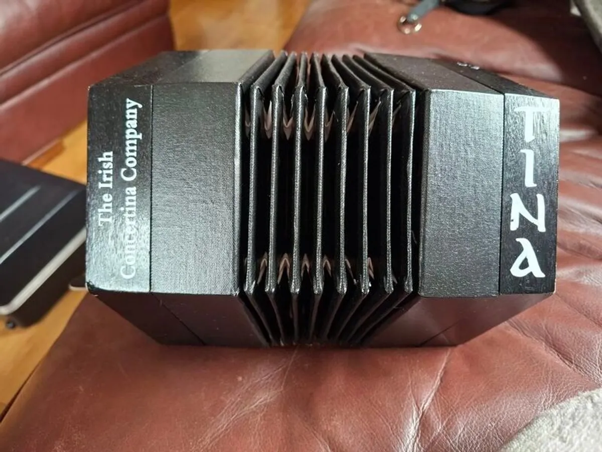 Concertina - Image 3