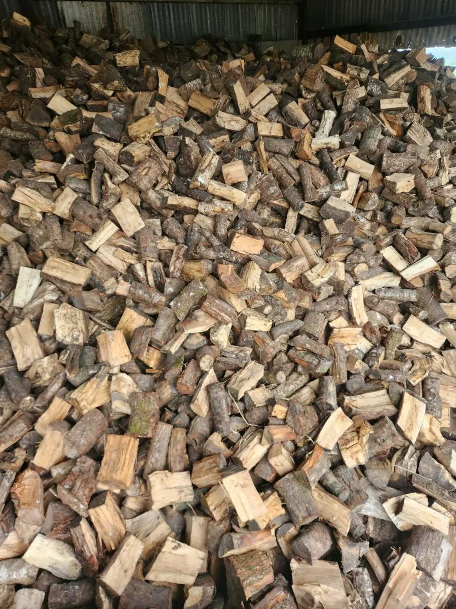 Hardwood timber - Image 1