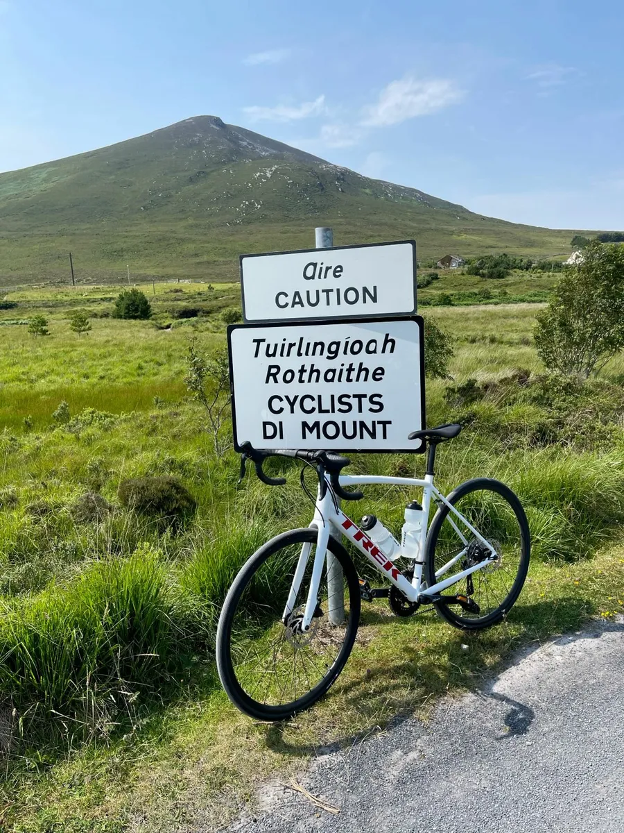 Trek Domane AL 3 Disc - Size 56 - Image 1