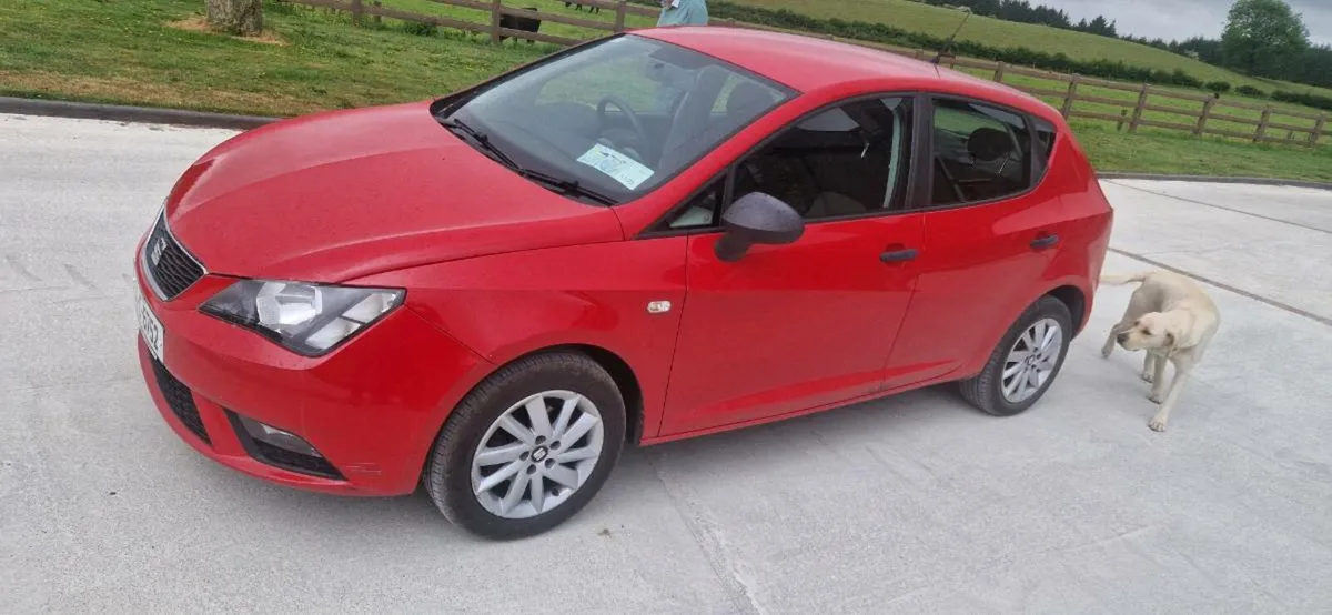 Seat ibiza - Image 1