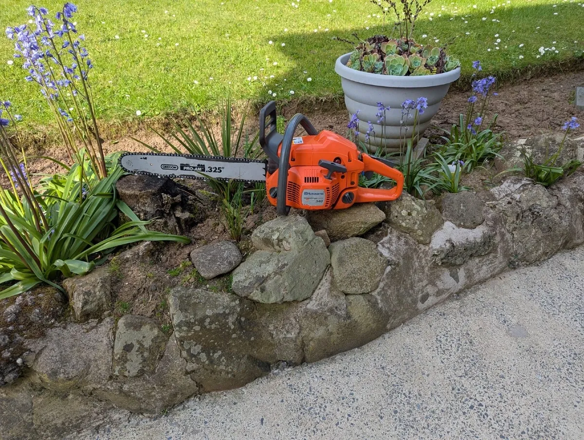 Chainsaw - Image 2