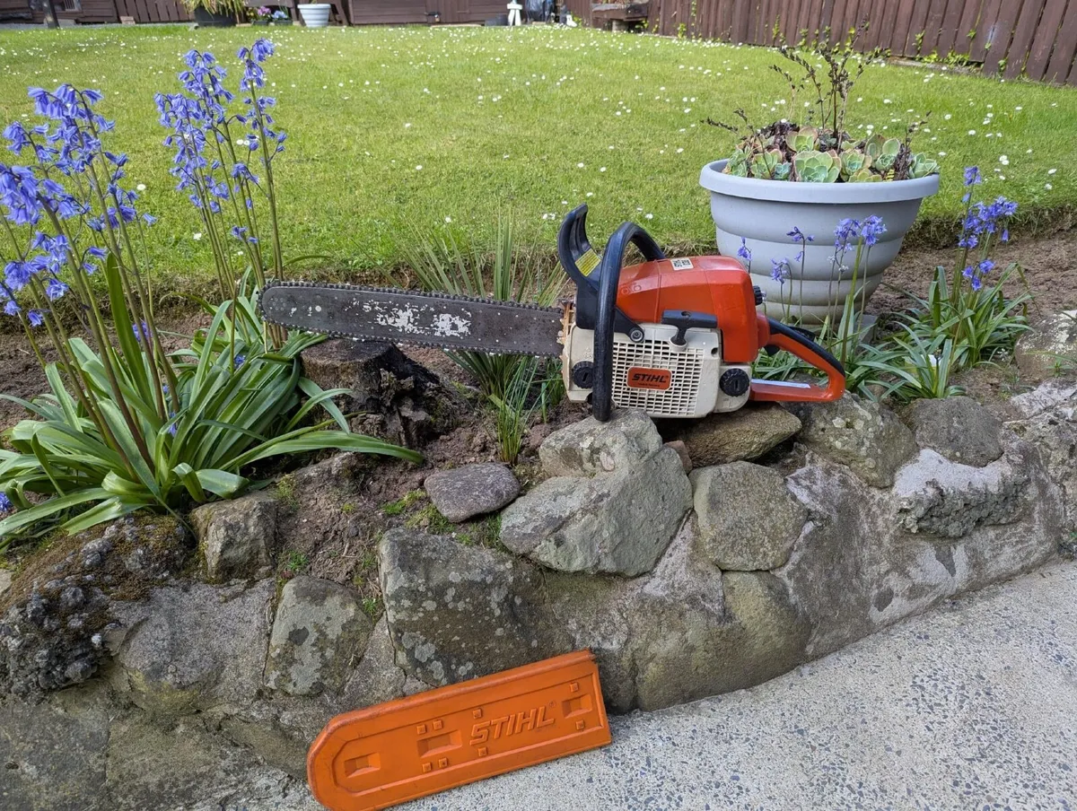 Chainsaw - Image 1