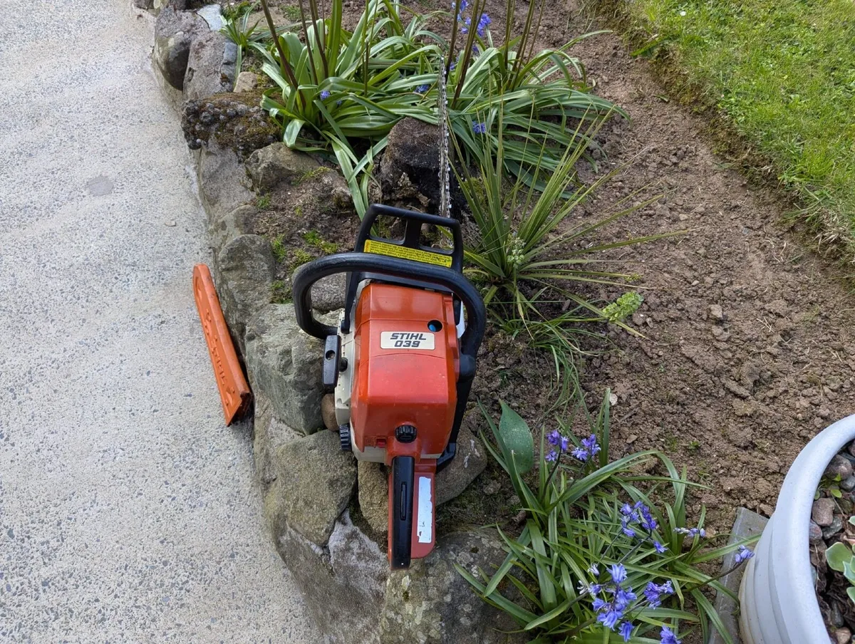 Chainsaw - Image 2