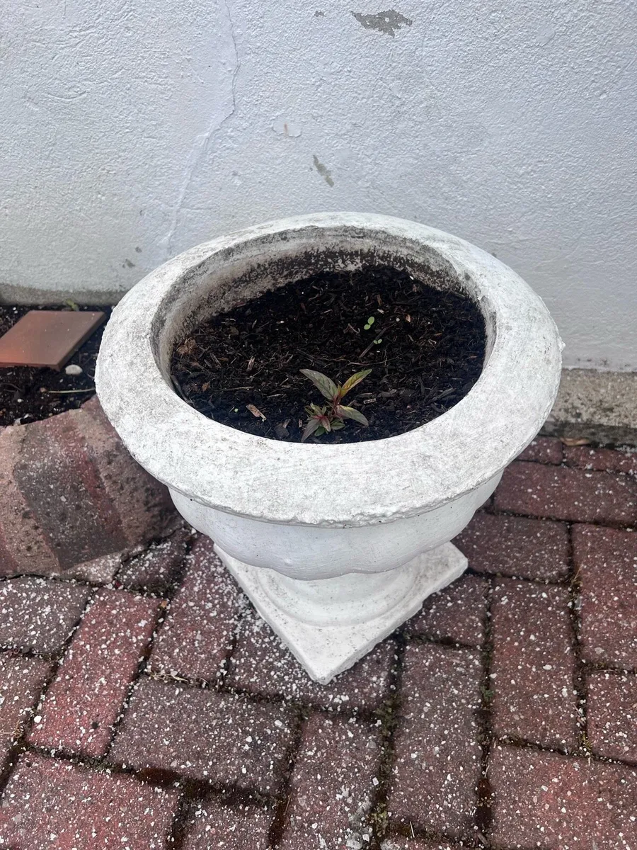 Stone flower pots - Image 2
