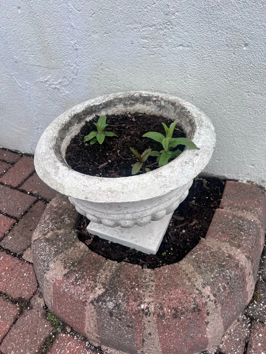 Stone flower pots - Image 4