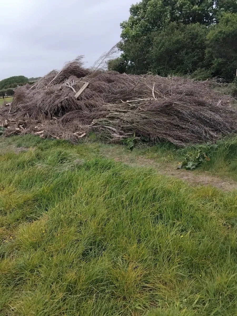 Logs and kindling