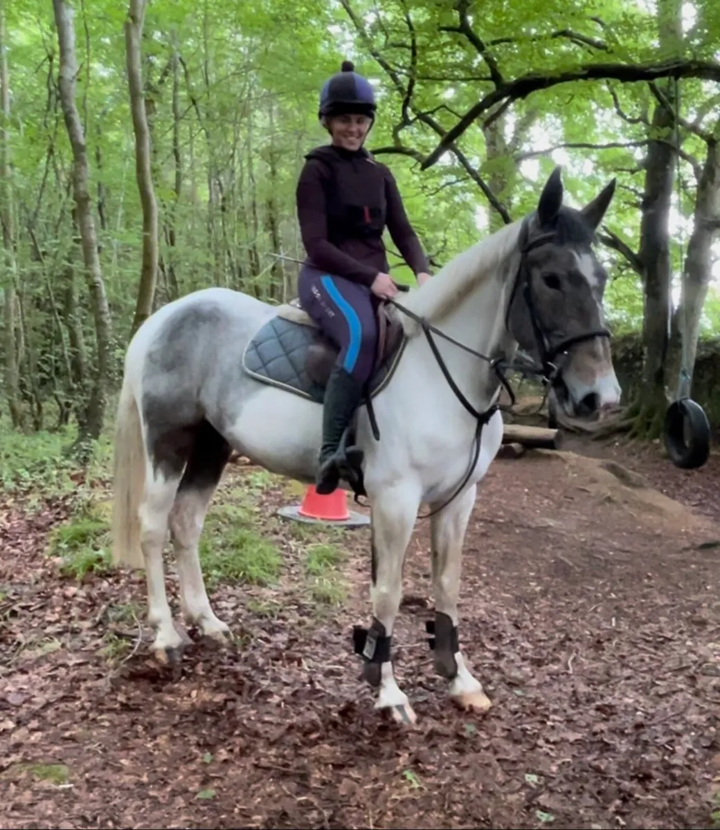 Quiet genuine mare - Image 1