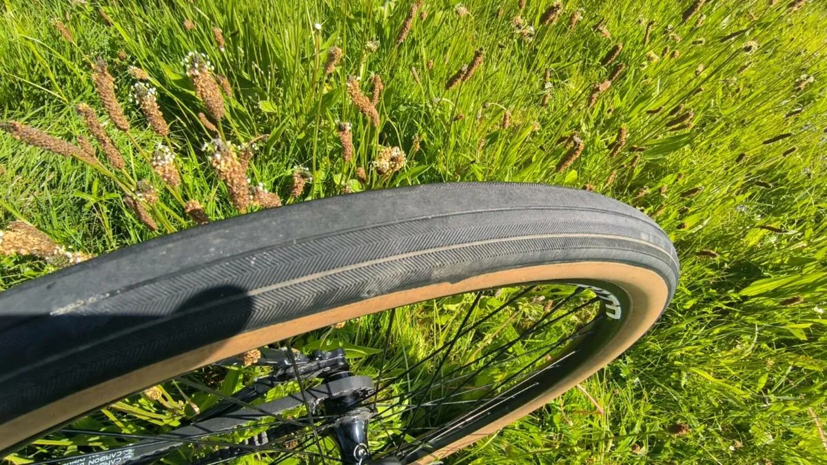 Bike belt driven single speed size L - Image 4