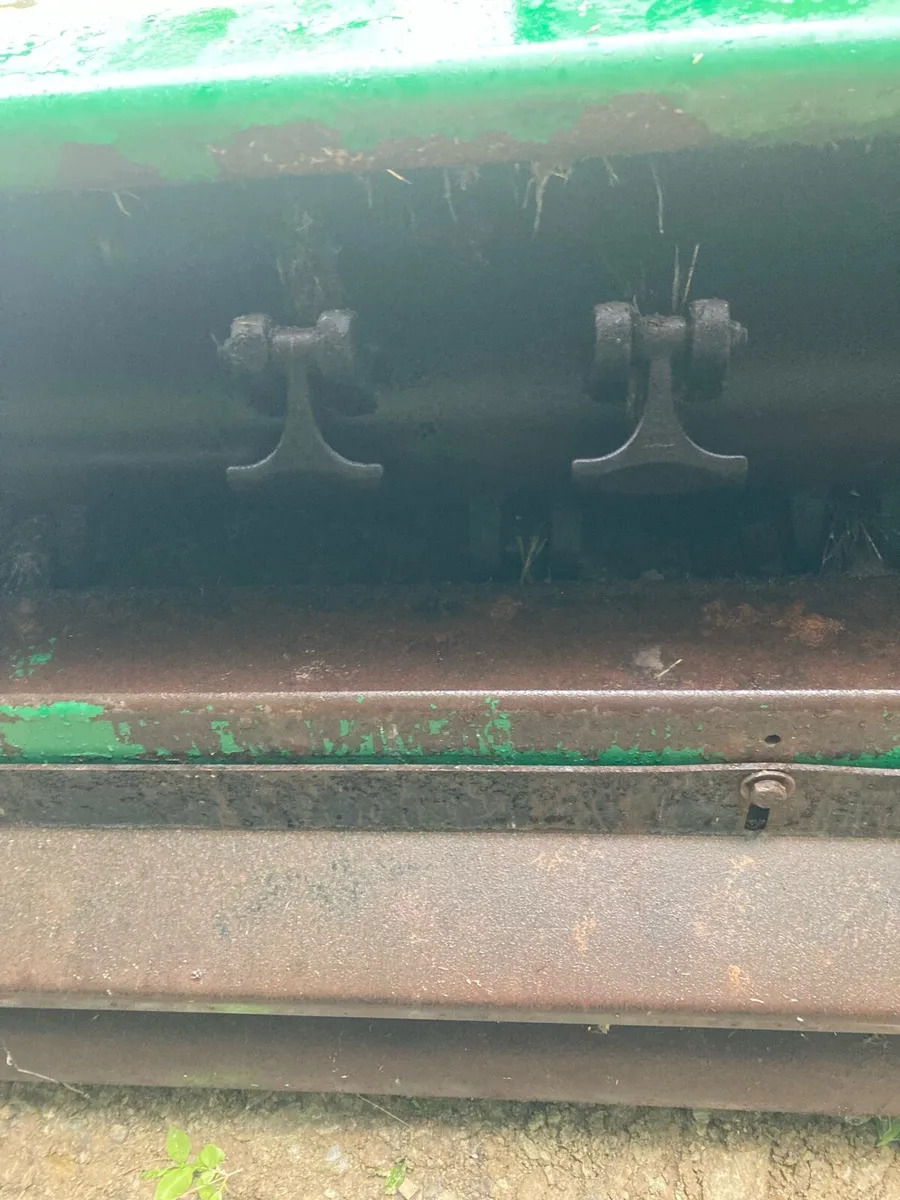 Major flail mower - Image 2