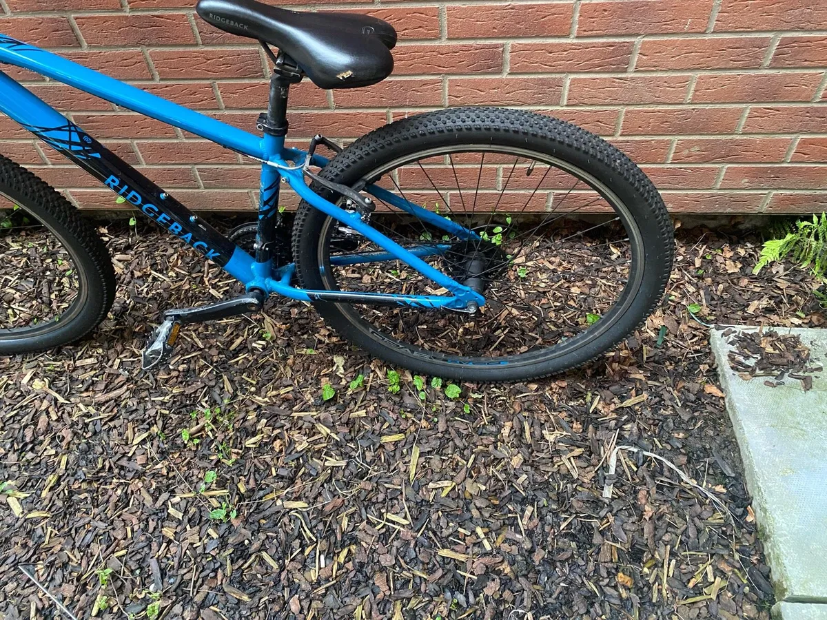 Kids bike - Image 2