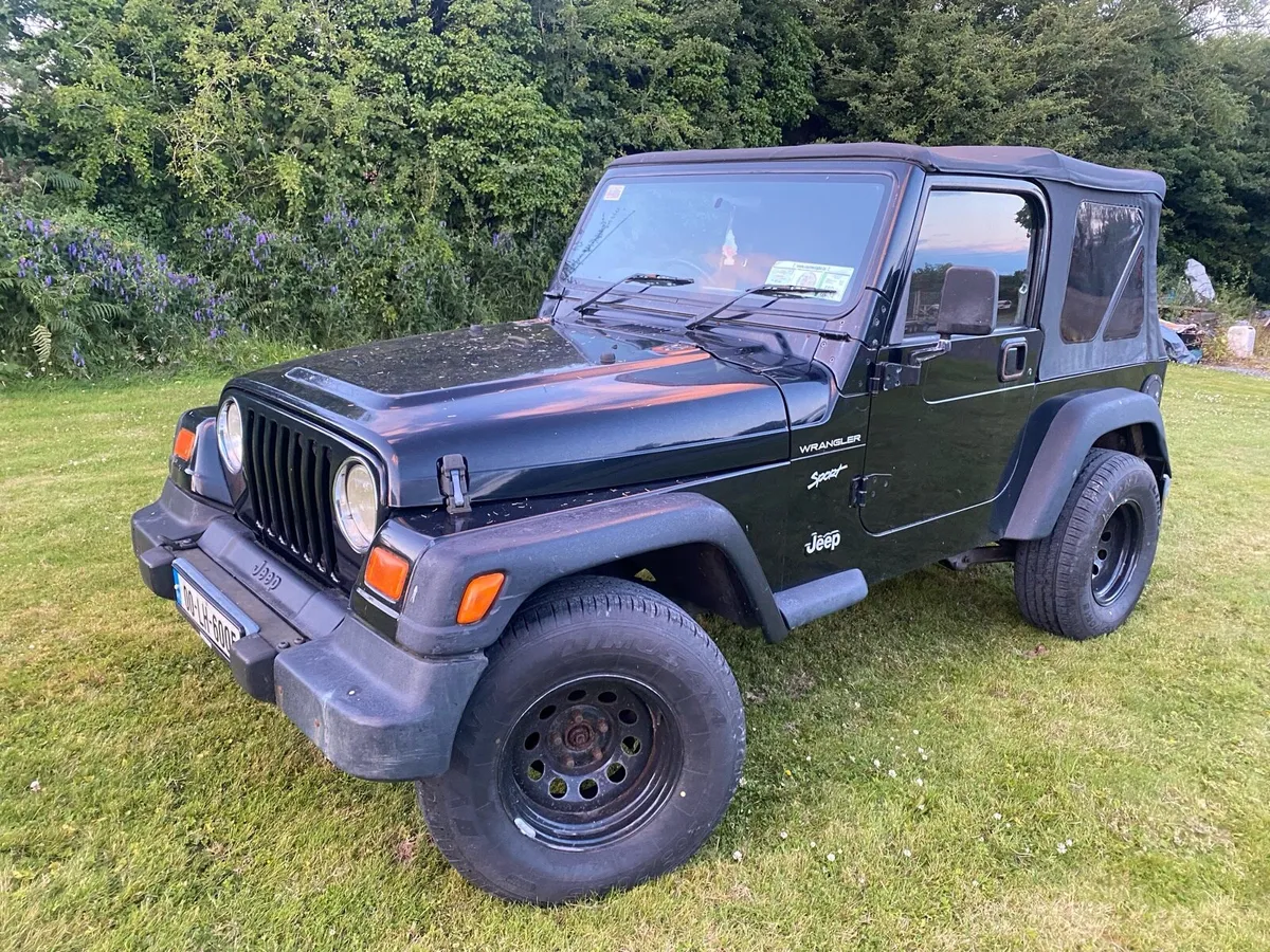 Wrangler - Image 1