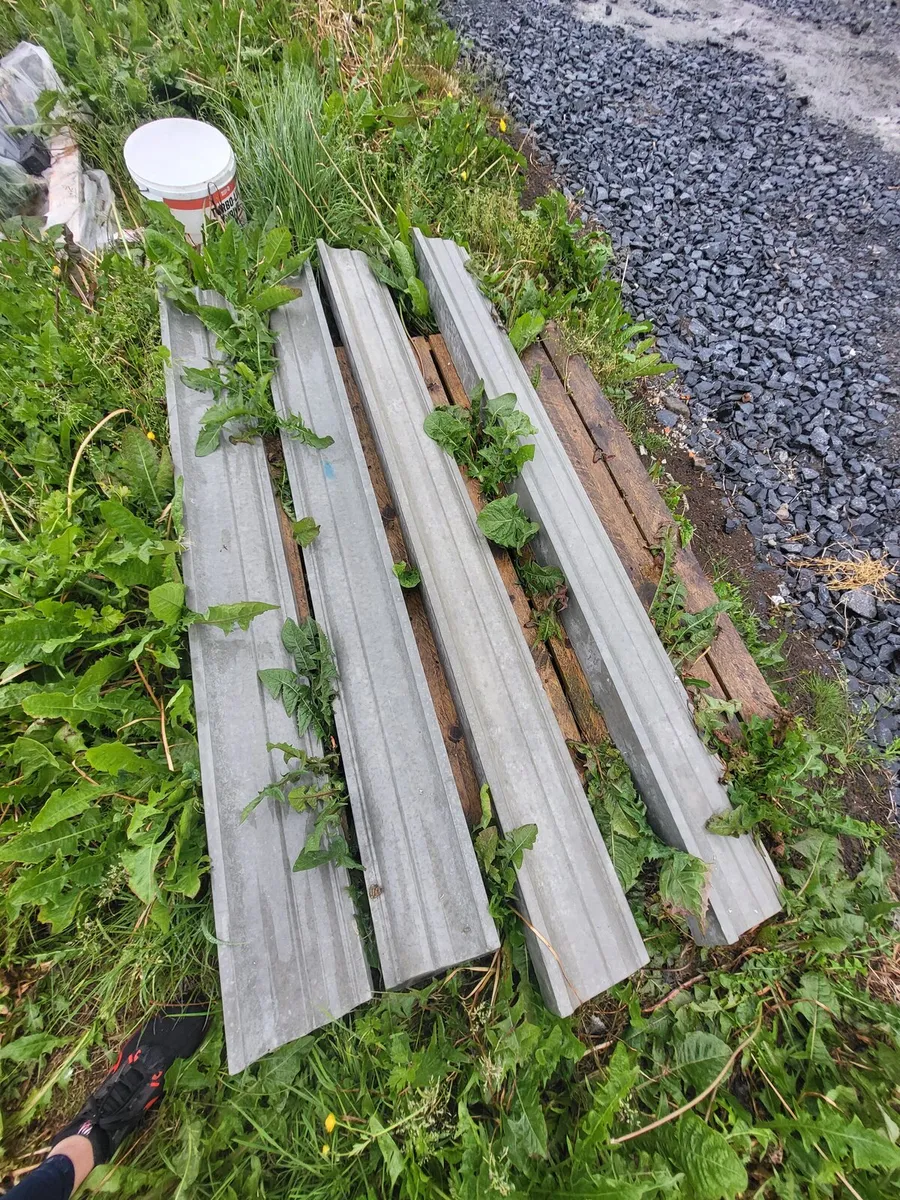Concrete capping - Image 1