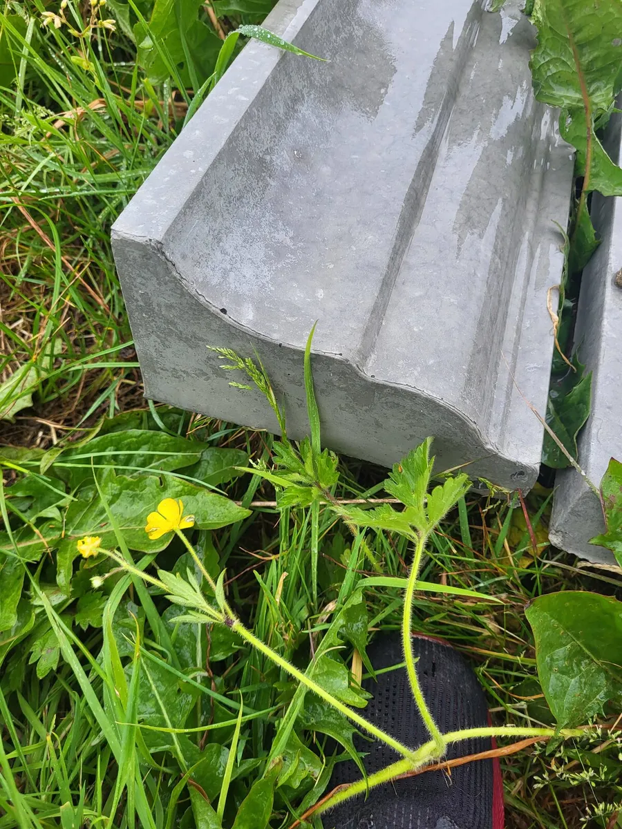 Concrete capping - Image 2