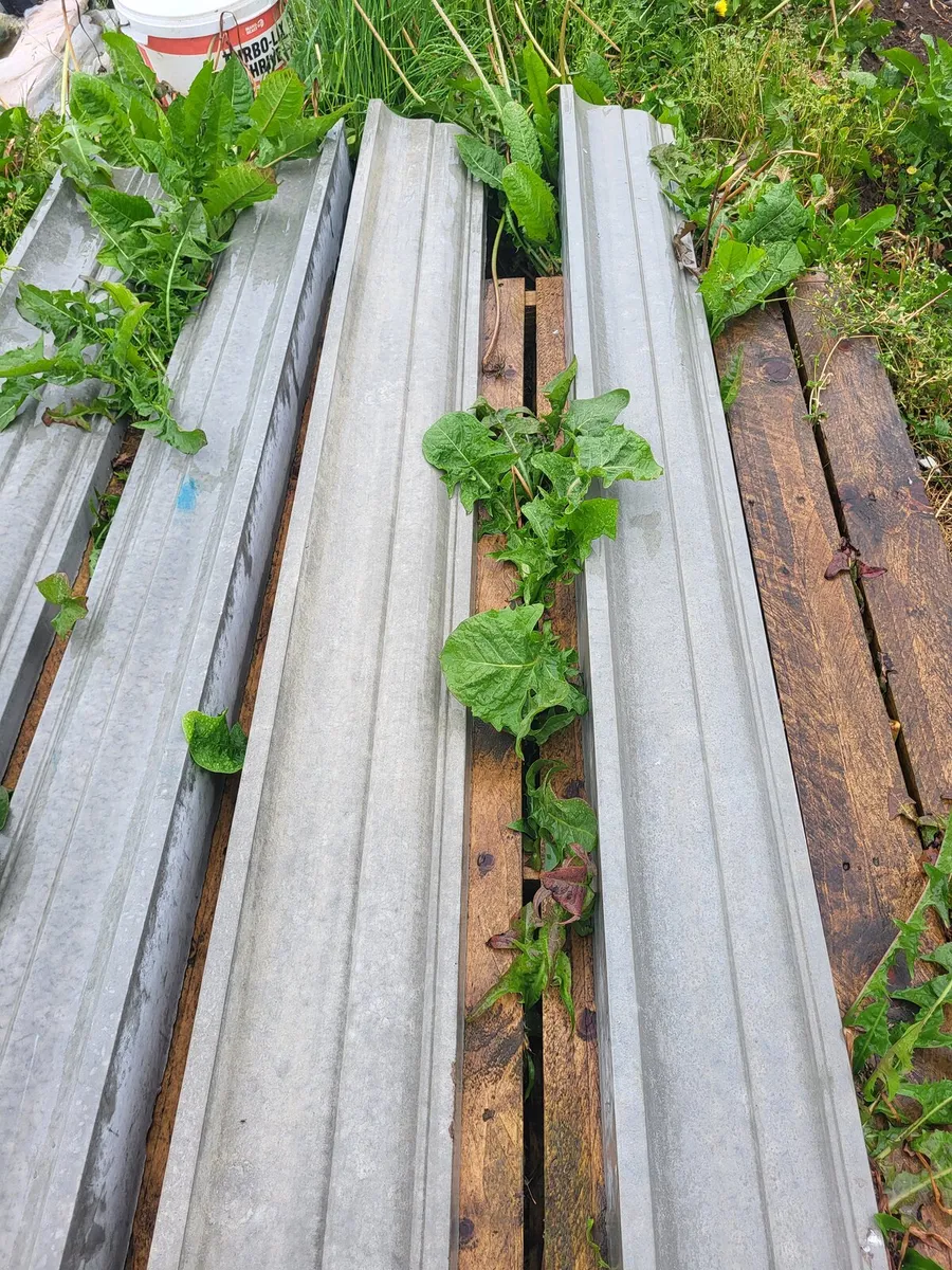 Concrete capping - Image 4