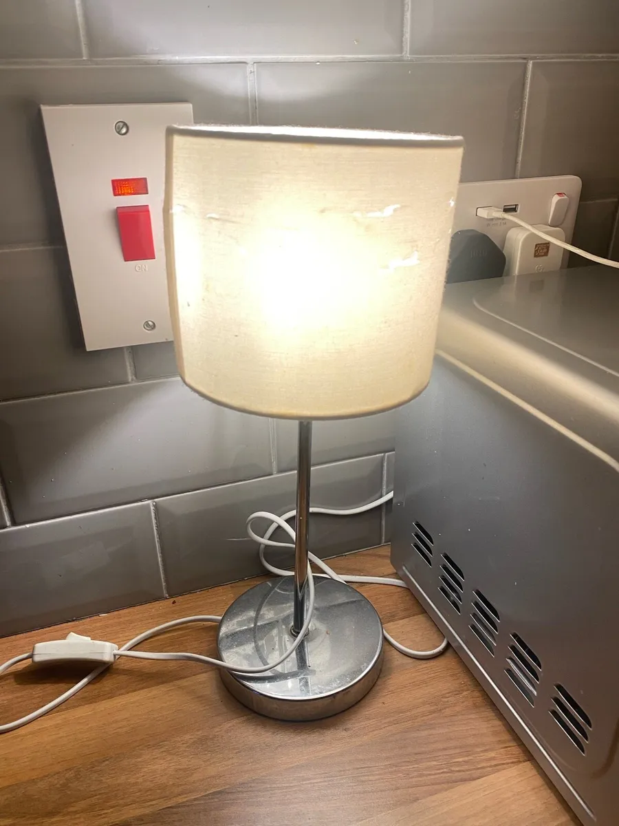 Lamps, Shelves, Carpet, Stuff - Image 1