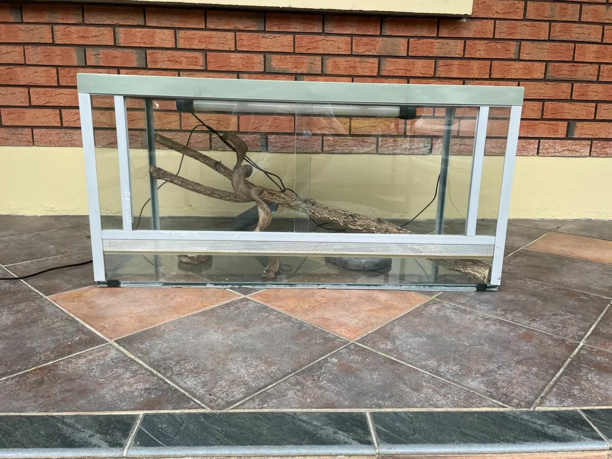 Reptile Terrarium - Image 2