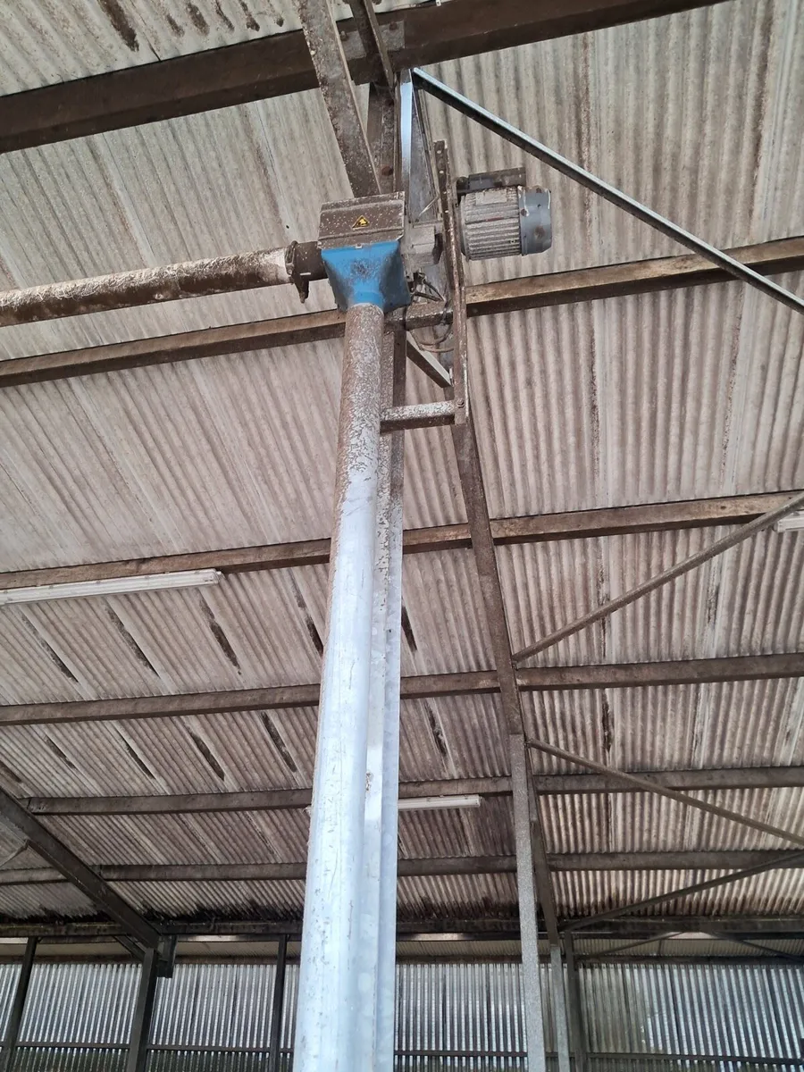 Auger with Motor - Image 2