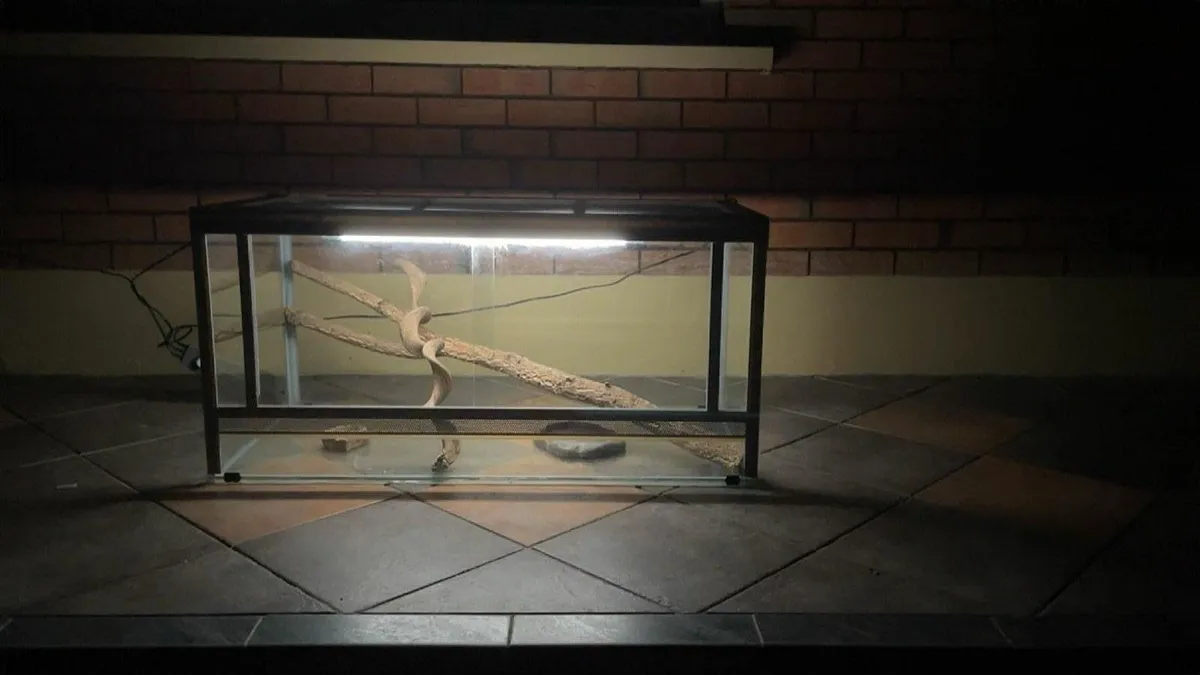 Reptile Terrarium - Image 1