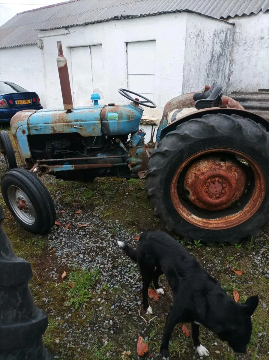 Fordson dexta live drive - Image 1