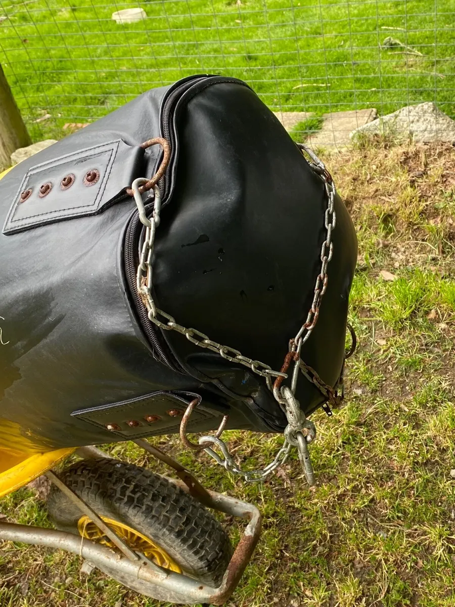 Boxing bag - Image 2