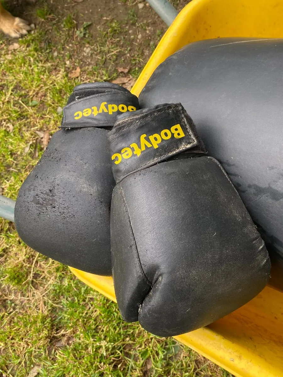 Boxing bag - Image 4