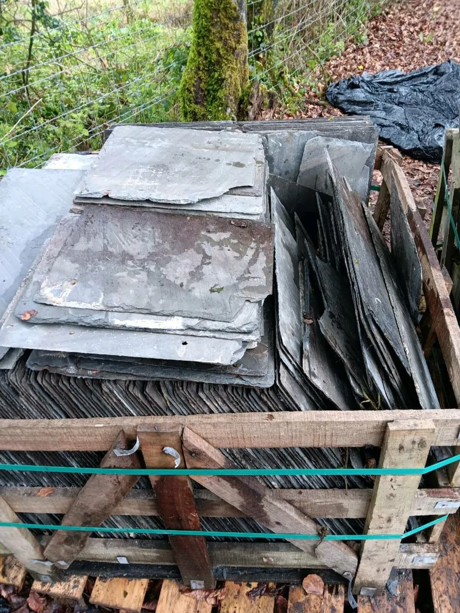 Blue Slates - Image 4