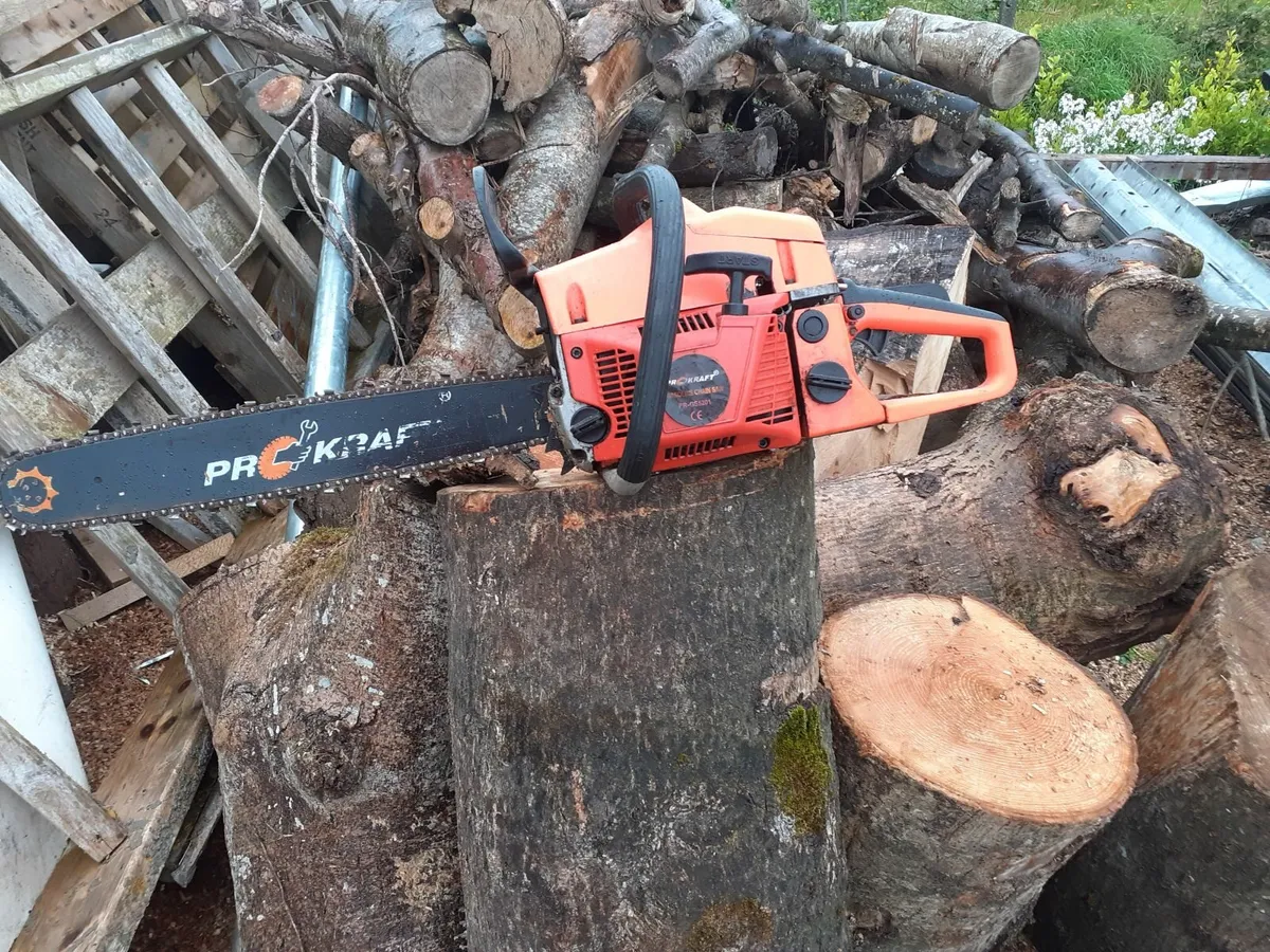 Chainsaw - Image 1