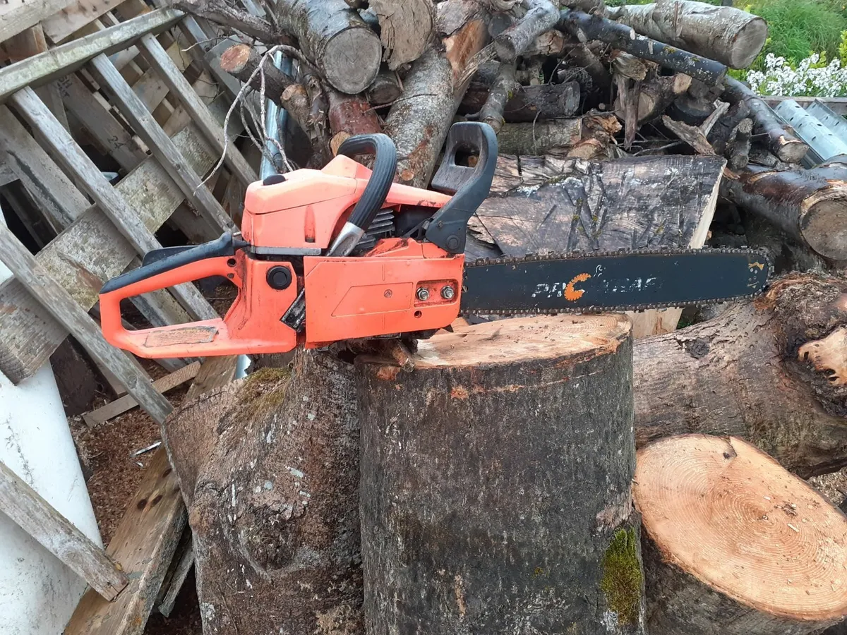 Chainsaw - Image 2