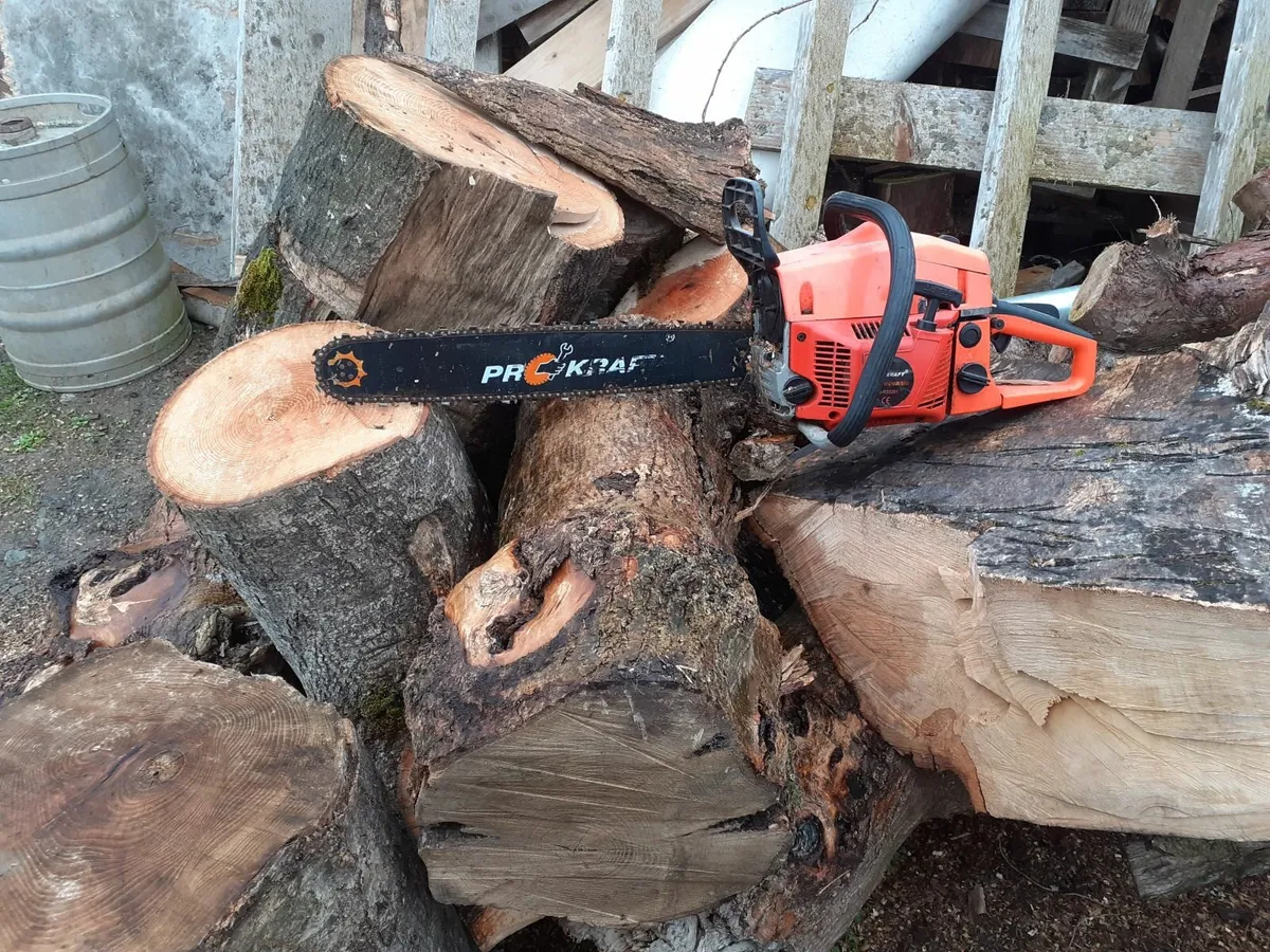 Chainsaw - Image 3