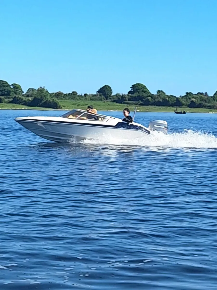 Picton Royal speed boat - Image 3