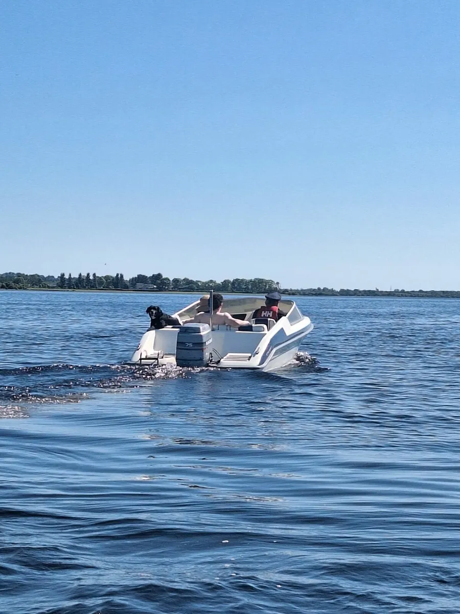 Picton Royal speed boat - Image 4
