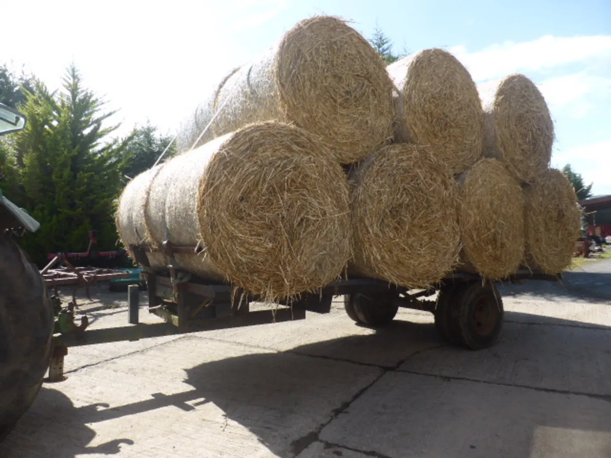 Flat Bale Trailer with Front and Rear Racks - Image 2