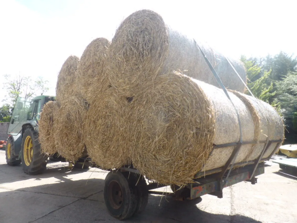 Flat Bale Trailer with Front and Rear Racks - Image 3