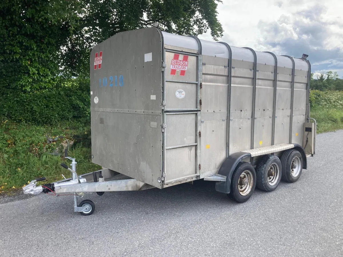 Hudson 12ft Cattle Trailer Serviced - Image 1