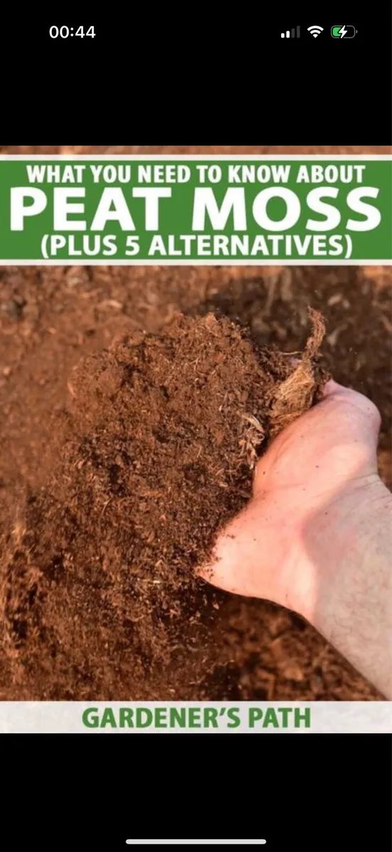 Cattle bedding - Image 1
