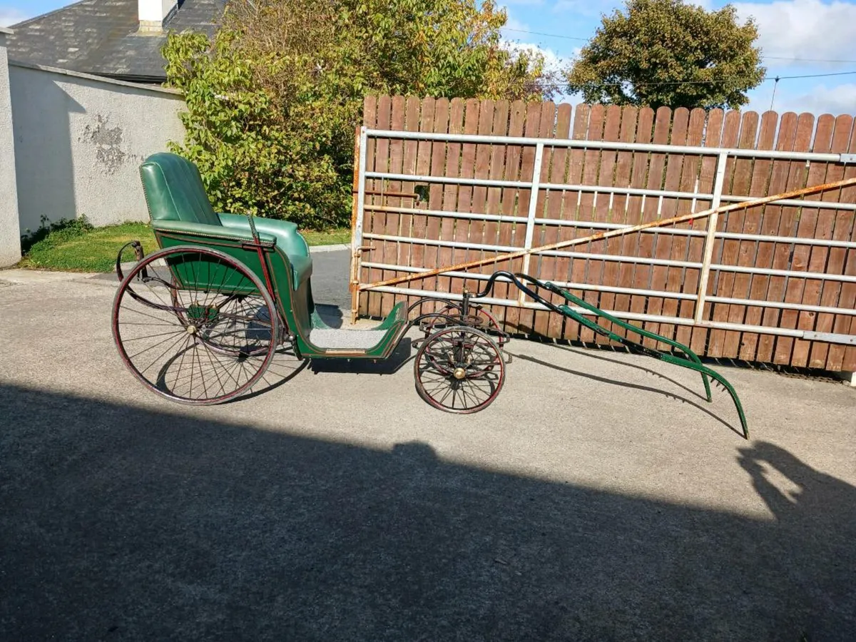 Carriage - Image 3
