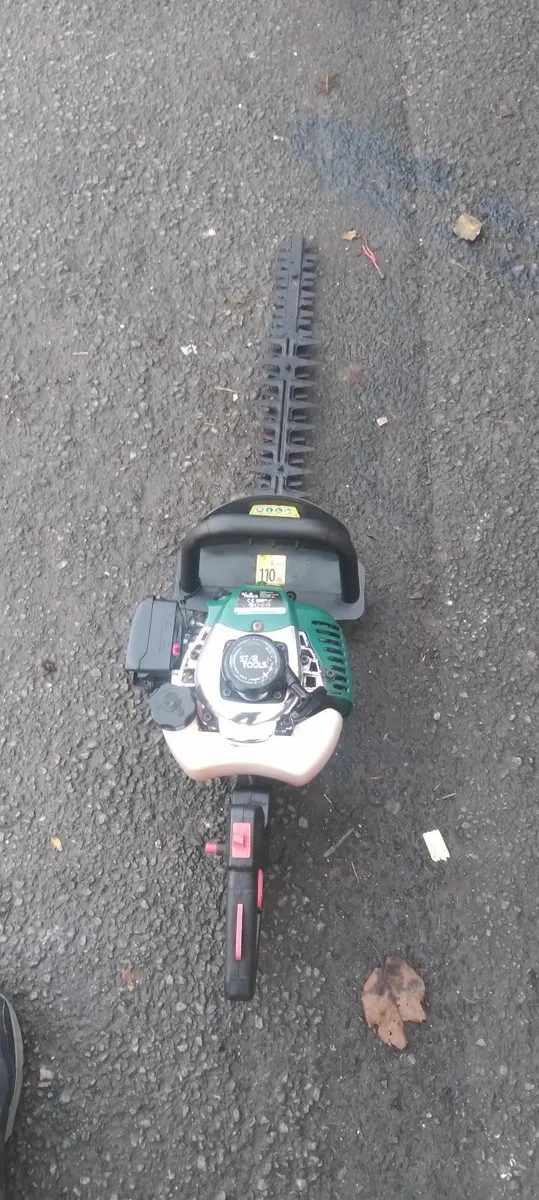 Hedge strummers running very well priced - Image 3