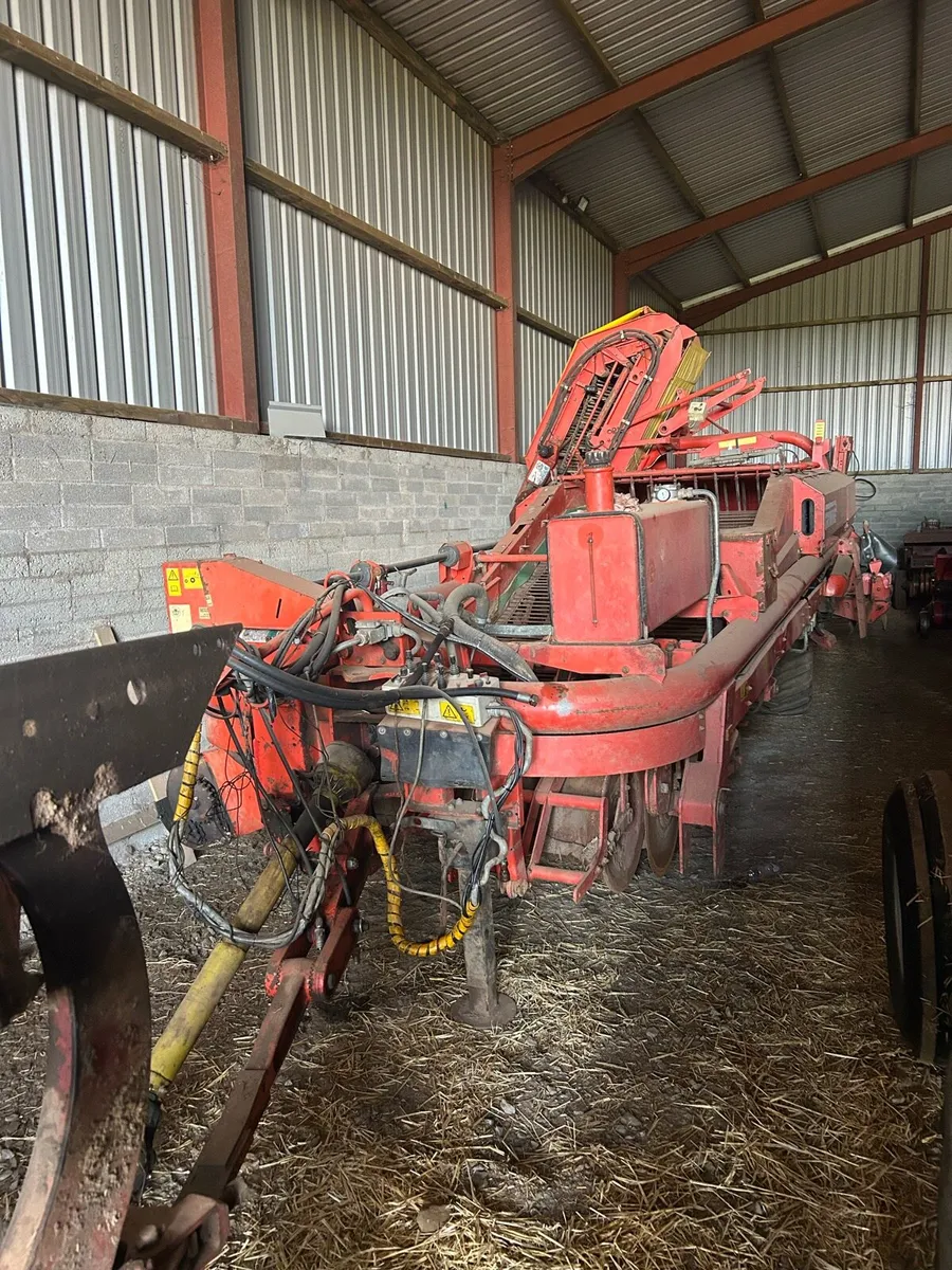 Potato harvester Grimme DL 1500 - Image 4