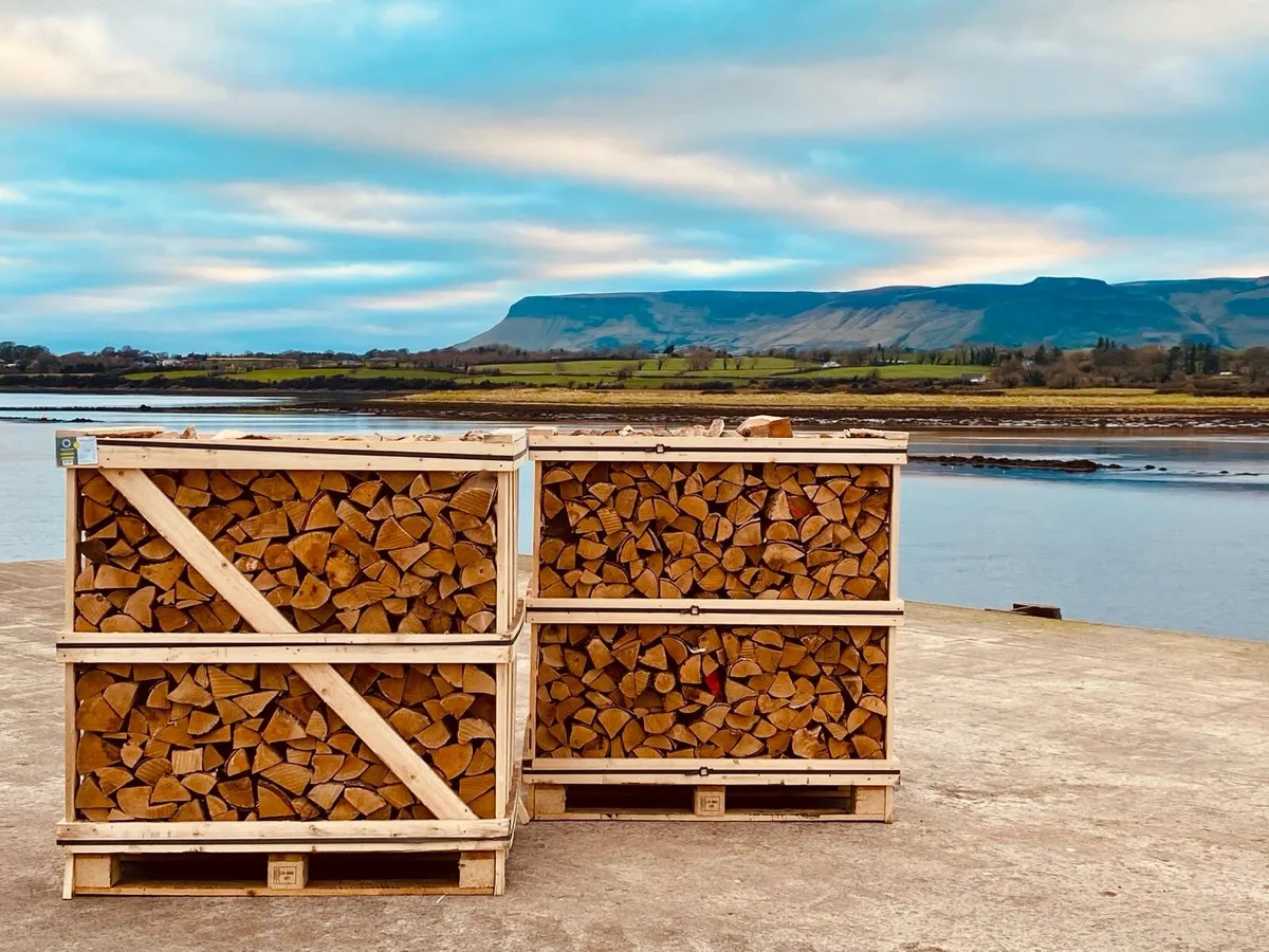 Kiln Dried logs and Briquettes - Image 1